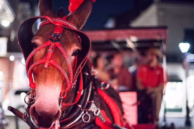 New Orleans Small-Group Haunted History Carriage Tour - Jackson Square and the old carriage pace