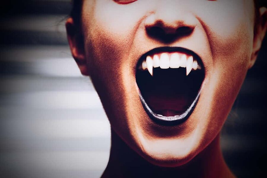 New Orleans: Vampires, Voodoo, and Ghosts Tour - A French Quarter walk built around stories
