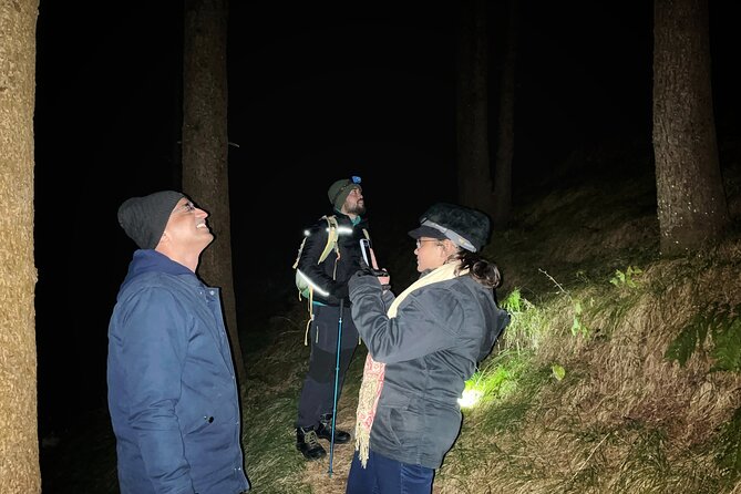 Night Treks & Haunted Walks - Mussoorie - Mussoorie after sunset, with more than ghost stories