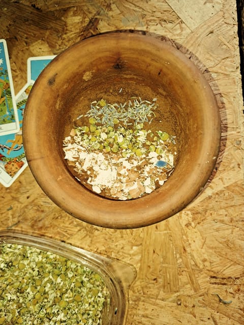 Plants and natural elements for Witchcraft and Tarot - A workshop rooted in Gran Canaria’s plant life