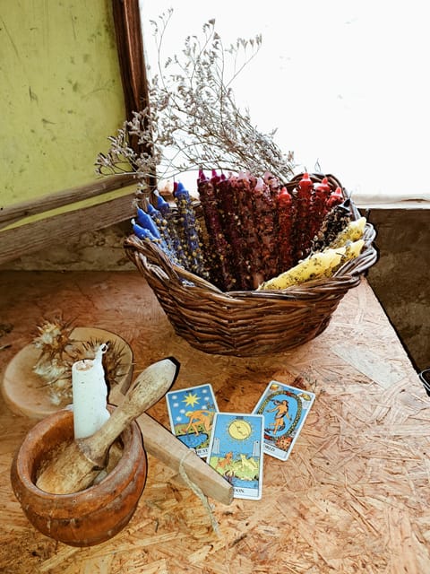Plants and natural elements for Witchcraft and Tarot - Starting near Carretera las Madres