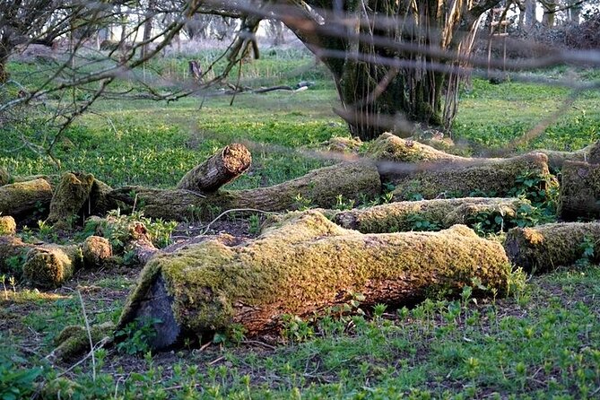 Prehistoric Britain: Ancient Caves, Stonehenge & Haunted Forest - Valerie’s guiding style and the private format