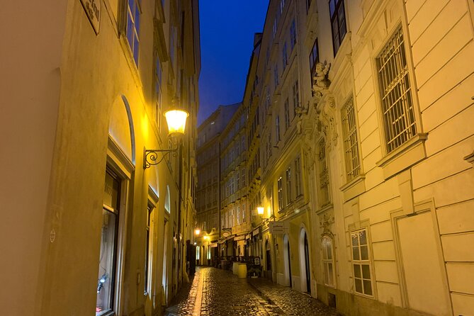 Private Spooky Vienna Ghost Tour - The Plague Column and the story of Augustin