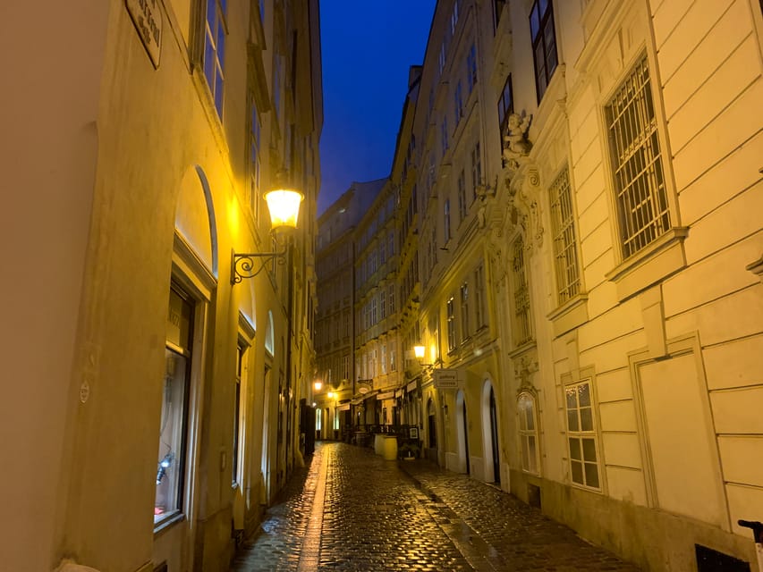 Private Spooky Vienna Tour - Vienna’s famous sights with a darker edge