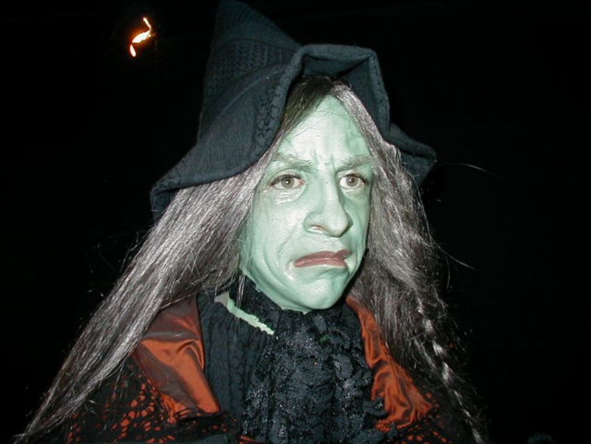 Salem Witch Museum Admission Ticket - What makes the history useful today