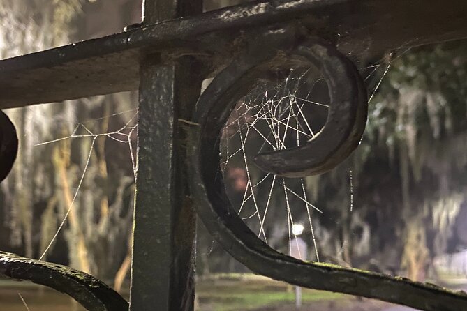 Savannah Ghost Tour for Adults ALL Alcoholic Drinks Included - Is the tour worth the money?