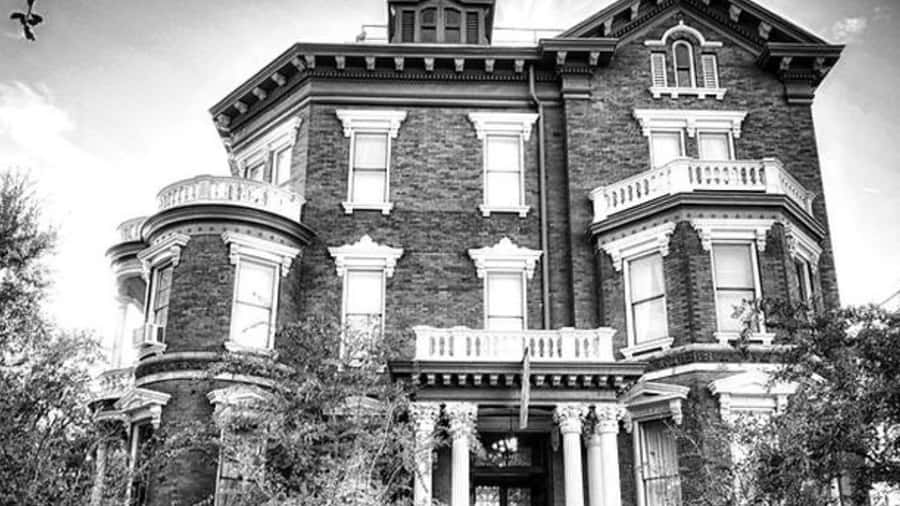 Savannah: Ghosts, Asylums, Voodoo, and Horror Walking Tour - Who should book this ghost walk?