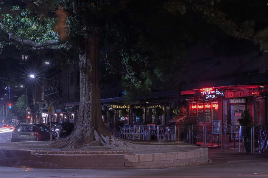 Seattle: Terrors and Ghosts Guided Walking Tour - Price, pace, and physical demands
