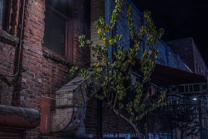 Sinister Sins, Scandal, and Shadows: Seattle Ghost Tour - How much walking and how hard is it?