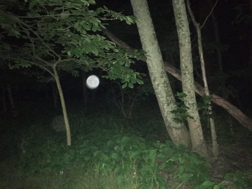 St. Augustine: Devil's Hour Paranormal Investigation Tour - Practical details for a smoother night