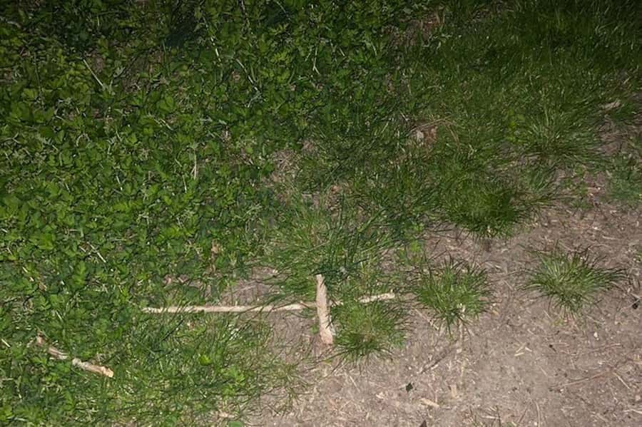St. Augustine: Evening Paranormal Investigation Tour - Why this St. Augustine ghost tour feels different