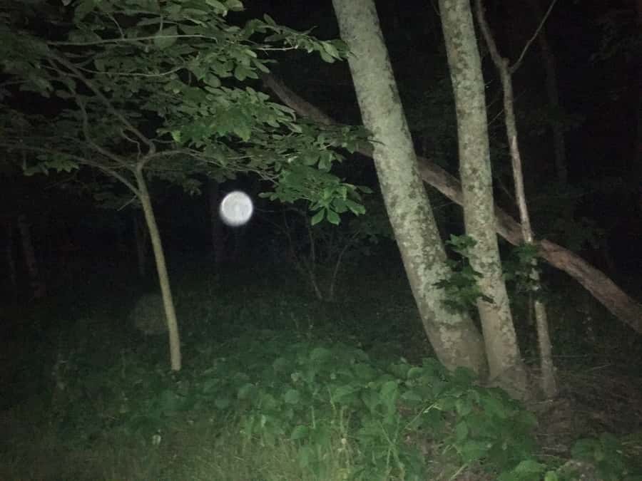 St. Augustine: Evening Paranormal Investigation Tour - St. Augustine’s stories give the equipment a purpose