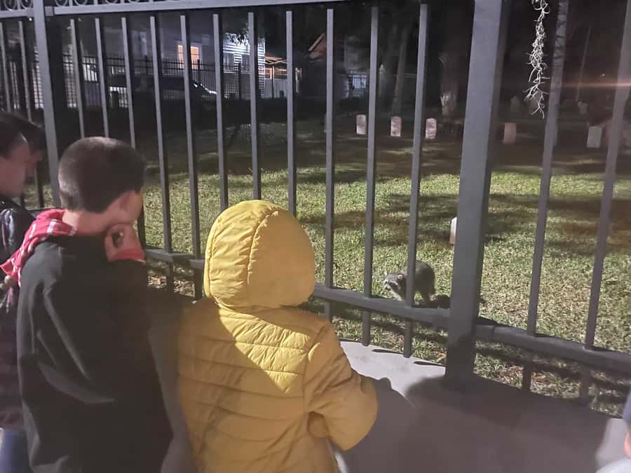St. Augustine: Family-Friendly Guided Ghost Tour - Who will enjoy this tour most