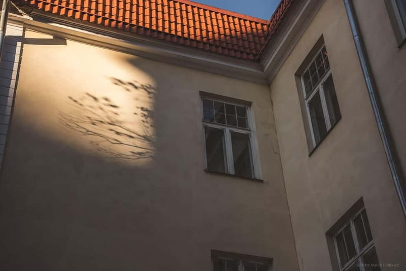 Tallinn: Old Town Ghost Tour - A ghostly start in Tallinn’s Old Town