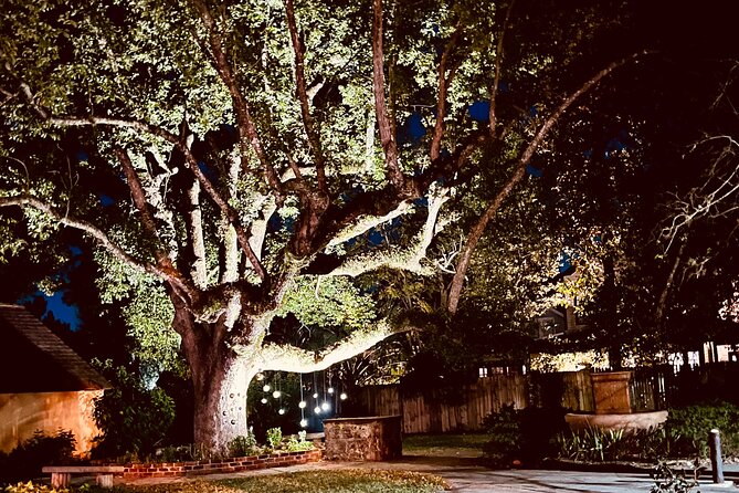 The Last Ride Private Golf Cart Ghost Tour for up to 5 people! - Driving the Nation’s Oldest Street