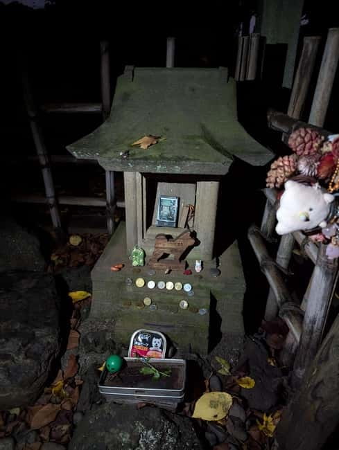 Tokyo: True Crime And Ghost Stories Tour - Why this Tokyo tour feels different