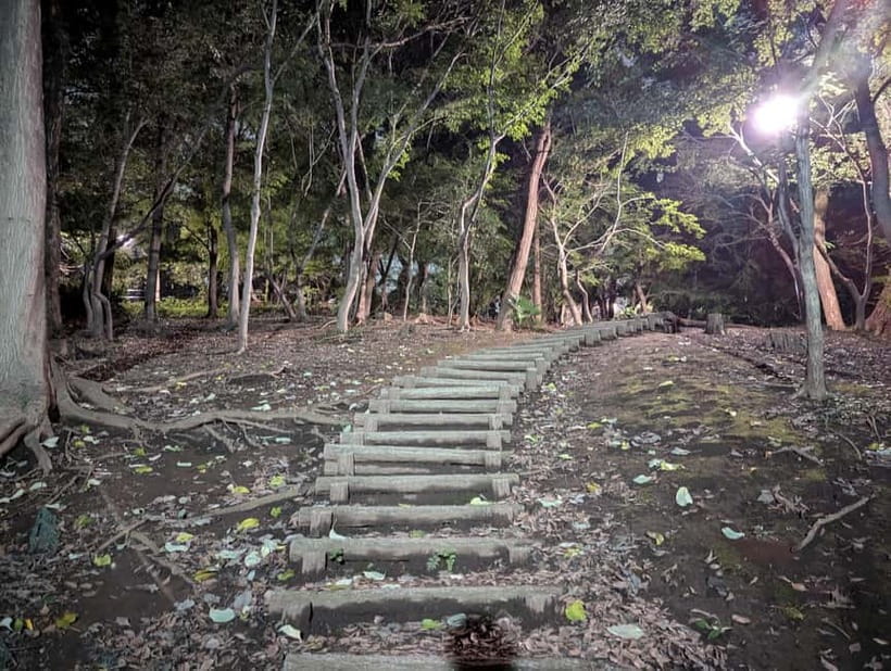 Tokyo: True Crime And Ghost Stories Tour - John’s storytelling style