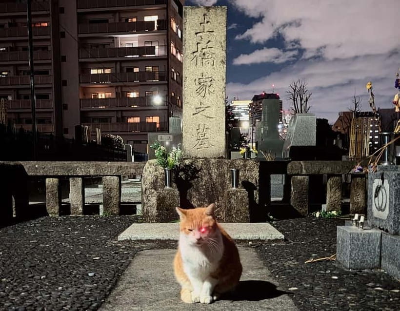 Tokyo: True Crime And Ghost Stories Tour - Hanazono Shrine and the first steps into Golden Gai