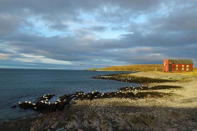 Vardø: A Self-Guided Walking Tour of Pomors, Radars & Witches - Hornøya and the edge of Norway