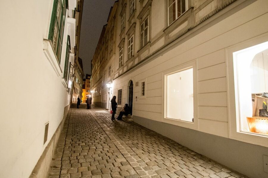 Vienna: Ghosts and Legends Guided Nighttime Walking Tour - Blutgasse, old lanes, and haunted buildings