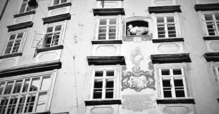 Vienna: Spooky Ghost Tour in English - Vienna’s dark side begins at Helmut Zilk Square