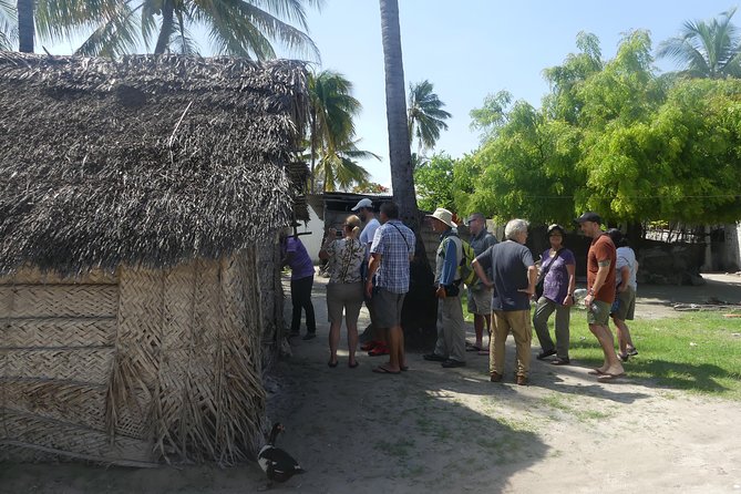 Village Tour With Witch Doctor Visit - Meeting the traditional healer