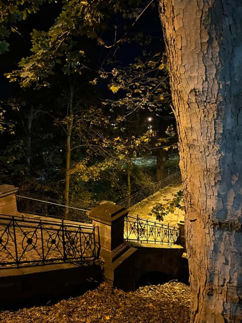 Witches, ghosts and executioners / Mystical North Hesse - Forest, darkness, and outdoor stops