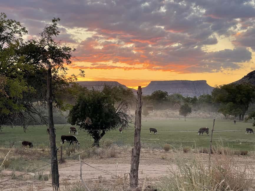 Zion: Harry Potter-Inspired Zion Ghost Tour with Sunset View - Using the ghost-hunting equipment